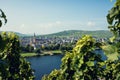 Vineyards of the Moselle Valley in Germany Royalty Free Stock Photo