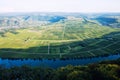 Vineyards of the Moselle Valley in Germany Royalty Free Stock Photo