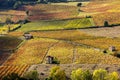 Vineyards near Beaujeu