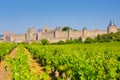 Vineyards near the Cite in Carcassone Royalty Free Stock Photo