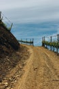 Vineyards near Duoro river in Pinhao, Portugal Royalty Free Stock Photo