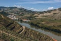 Vineyards near Duoro river in Pinhao, Portugal Royalty Free Stock Photo