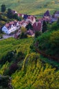 Vineyards near dÃÂ¼rnstein