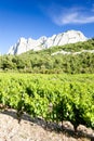 vineyards near Gigondas at Col Du Cayron, Provence, France Royalty Free Stock Photo