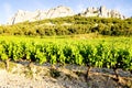 vineyards near Gigondas at Col Du Cayron, Provence, France Royalty Free Stock Photo