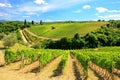 Vineyards near Montalcino in Val d`Orcia, Tuscany, Italy. Royalty Free Stock Photo