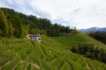 Vineyards near the mountains. Italy's Valpolicella wine route