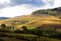 vineyards near Odenas, Beaujolais, Rhone-Alpes, France