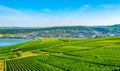 Vineyards near Rudesheim am Rhein in Germany Royalty Free Stock Photo