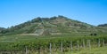 Vineyards near the wine town Achkarren, Kaiserstuhl. Breisgau, Germany, Europe Royalty Free Stock Photo