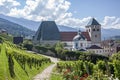 The vineyards of the Novacella Abbey, near Brixen Bressanone