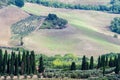 Vineyards and olive groves near San Gimignano, Siena Italy