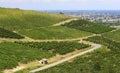 Vineyards in Oltrepo Pavese (Italy)