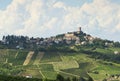 Vineyards in Oltrepo Pavese (Italy) Royalty Free Stock Photo