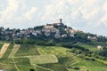 Vineyards in Oltrepo Pavese (Italy) Royalty Free Stock Photo