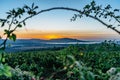 Vineyards,Palava region,Nove Mlyny reservoir at sunset,South Moravia,Czech Republic.Rural autumn landscape with trees,green hills Royalty Free Stock Photo