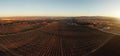 Vineyards panoramic drone view, wine production concept Royalty Free Stock Photo