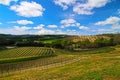 Vineyards in Paso Robles Wine Country Scenery Royalty Free Stock Photo