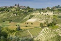 Vineyards in Piedmont Royalty Free Stock Photo
