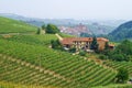 Vineyards in Piemont overlooking the town of Barolo Royalty Free Stock Photo