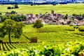 Vineyards and Pommard village, Burgundy in France