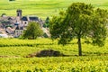 Vineyards and Pommard village, Burgundy in France
