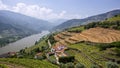 Vineyards, Portugal Royalty Free Stock Photo