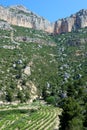 Vineyards, Priorat (aka Priorato), Spain