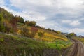 Vineyards and rail way track Royalty Free Stock Photo