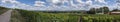 Vineyards in Rhineland-Palatinate Germany Royalty Free Stock Photo