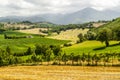 Vineyards between Rieti and Terni