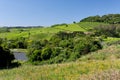 Vineyards in Rio Grande do Sul