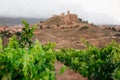 Vineyards. Rioja, Spain. San Vicente de la Sonsierra. Royalty Free Stock Photo