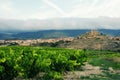 Vineyards. Rioja, Spain. San Vicente de la Sonsierra. Royalty Free Stock Photo