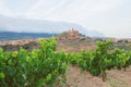 Vineyards. Rioja, Spain. San Vicente de la Sonsierra. Sonsierra Royalty Free Stock Photo