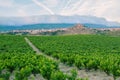 Vineyards. Rioja, Spain. San Vicente de la Sonsierra. Sonsierra Royalty Free Stock Photo