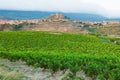 Vineyards. Rioja, Spain. San Vicente de la Sonsierra. Sonsierra Royalty Free Stock Photo