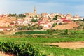 La Rioja. Spain. Vineyards and beautiful views of the ancient city Briones Royalty Free Stock Photo