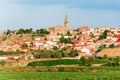 La Rioja. Spain. Vineyards and beautiful views of the ancient city Briones Royalty Free Stock Photo