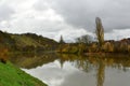 Vineyards on river Neckar in stuttgart autumn fall germany Royalty Free Stock Photo