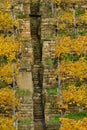 Vineyards on river Neckar in stuttgart autumn fall germany Royalty Free Stock Photo