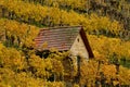 Vineyards on river Neckar in stuttgart autumn fall germany Royalty Free Stock Photo