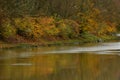 Vineyards on river Neckar in stuttgart autumn fall germany Royalty Free Stock Photo