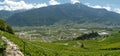 The vineyards of saillon switzerland