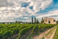 Vineyards of Saint Emilion, Bordeaux. Wineyards in France. Ruins of medieval church with rows of vine on a grape field Royalty Free Stock Photo