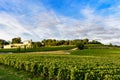 Vineyards of Saint Emilion, Bordeaux Wineyards in France Royalty Free Stock Photo