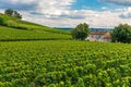 Vineyards of Saint Emilion, Bordeaux Wineyards in France Royalty Free Stock Photo