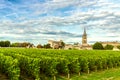 Vineyards of Saint Emilion, Bordeaux Wineyards in France