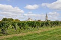 Vineyards at Saint-Emilion (France) Royalty Free Stock Photo