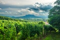 Vineyards with the Saint George Hill in Balaton Highlands, Hungary Royalty Free Stock Photo
